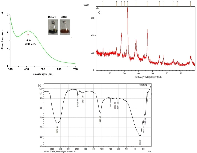 UV–visible spectrum (A); the inner figure shows the notable colour change after synthesis of AgNP, FT-IR spectra (B) and XRD pattern of green synthesized SM-AgNPs (C).