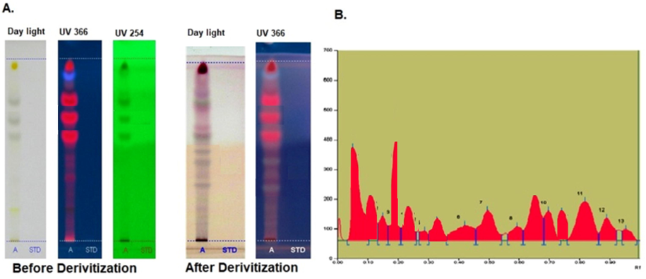 The phenol profile of green synthesized SM-AgNPs using HPTLC analysis (A) Peak densitogram of phenolic compounds in the sample (B).