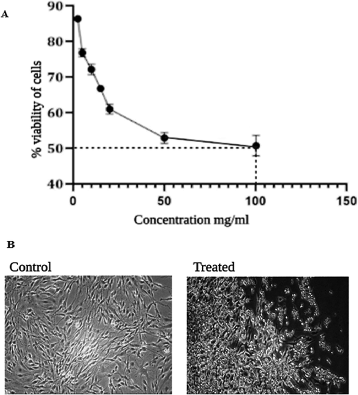 Cytotoxicity assessment in MDA MB-231 cell line exposed to 100 mg/ml concentration of SM-AgNPs for 24 h using MTT assay (A). Alterations in the morphology of MDA MB 231 cell line due to the cytotoxic effect SM-AgNPs (B).