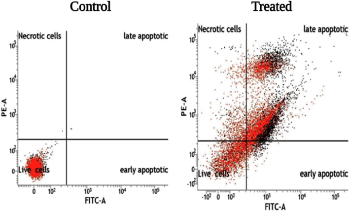 Flow cytometry graph showing the apoptosis of cells Control (A) Treated with 100 mg/mL of green synthesized SM-AgNPs (B).