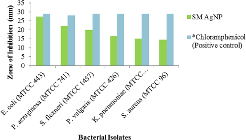 Zone of inhibition of SM-AgNPs against selected bacterial isolates. The values are expressed in mean of performed triplicates. *Standard antibiotic.