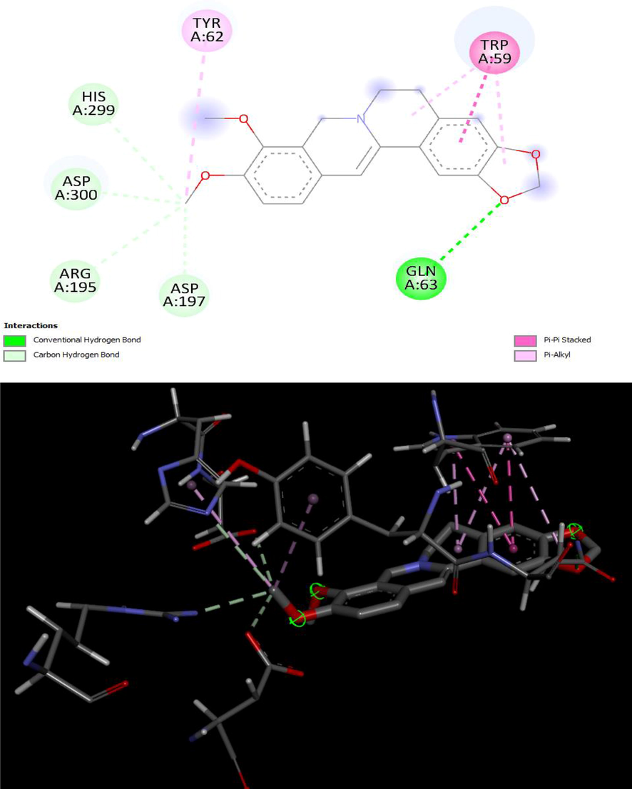 2D and 3D structure of binding of berberine with the PDB ID: 4X9Y protein.