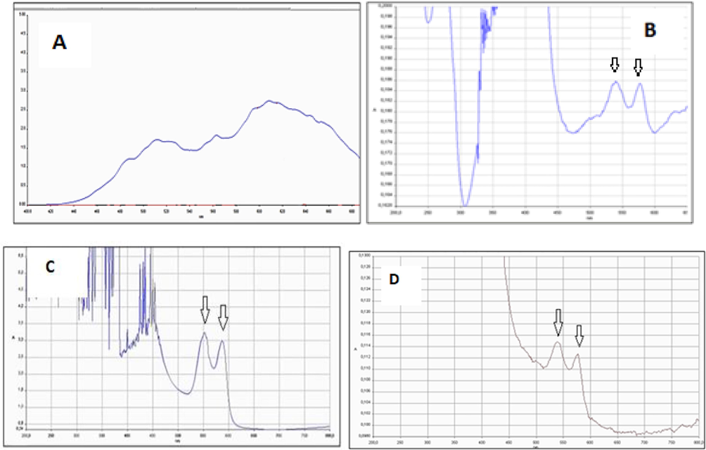 Stored at room temperature for approximately 1 h, free Hb UV–vis spectrum (A), TASPIONs UV–vis spectrum (B) UV–vis spectrum of oxyhemoglobin (C), and 3APGASPIONs UV–vis spectrum (D).