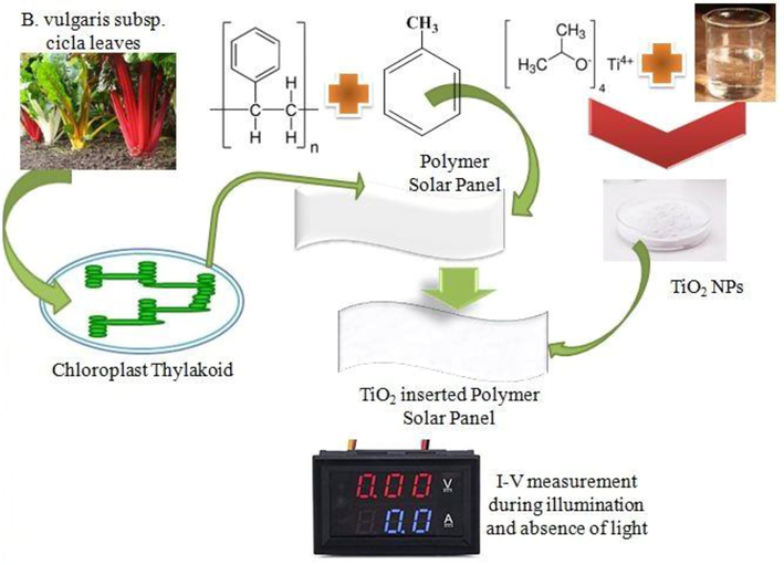 Schematic diagram showing all steps involved in synthesizing TiO-NPs, fabrication, and construction of the solar panels.