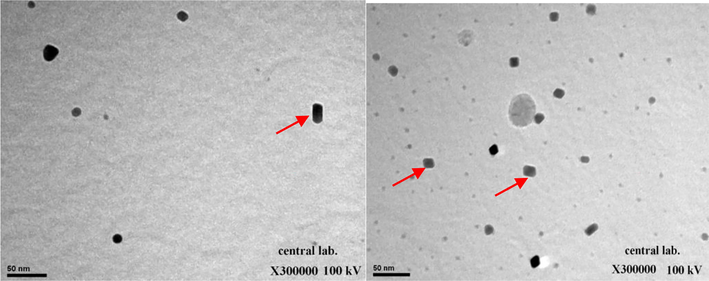 Transmission electron microscope (TEM) image of synthesized anatase titanium dioxide nanoparticles (TiO2 NPs).