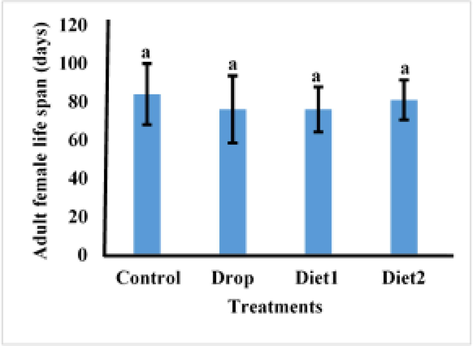 Effects of RfVg-dsRNA feeing on adult female life span.