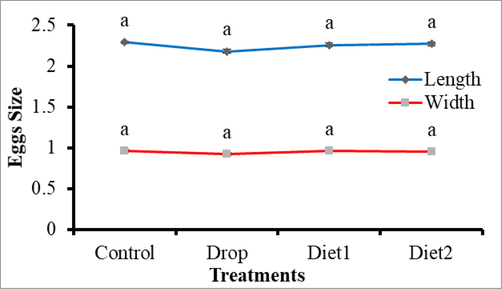 Effects of RfVg-dsRNA feeding on egg size.