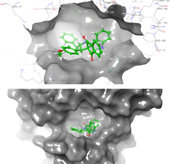 Spiropyrrolidines 4h docked with hAChE (surface view).