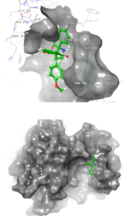 Spiropyrrolidine 4h docked with binding pocket of hBChE (Surface view).