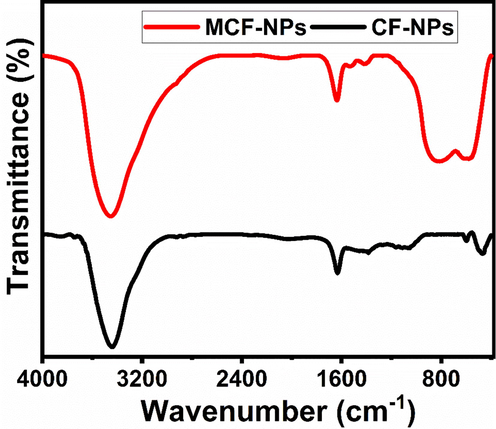 FT-IR spectra of the ferrite nanoparticles.