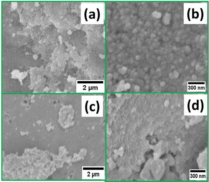 SEM images of (a-b) CF-NPs and (c-d) MCF-NPs.