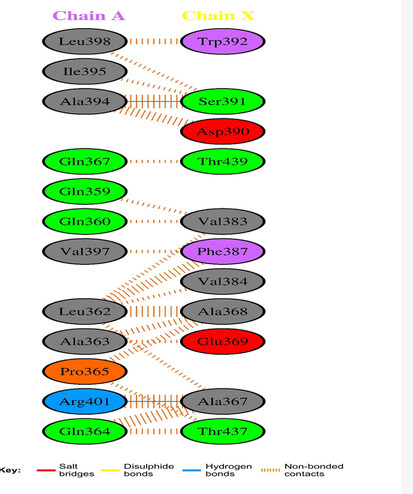 The receptor's and the hydrogen-bonding epitopes' residue-residue interactions are denoted by green and blue, respectively. (For interpretation of the references to colour in this figure legend, the reader is referred to the web version of this article.)