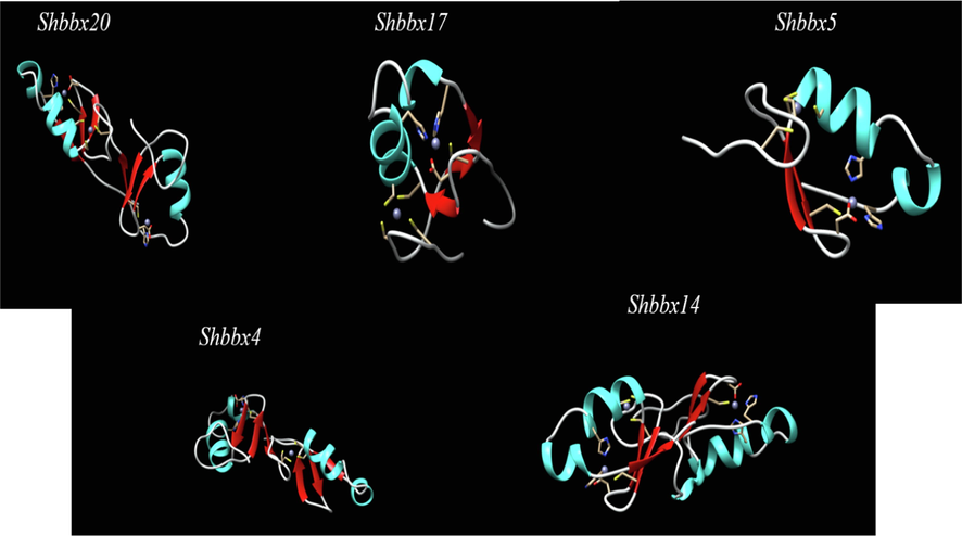 Five sugarcane BBX protein sequences in three dimensions. SWISS-MODEL software was used to create the models. The red areas represent -folds, while the bright blue areas represent -helices. Cysteines bound to a zinc ion are indicated by small yellow spikes surrounding a blue ball.