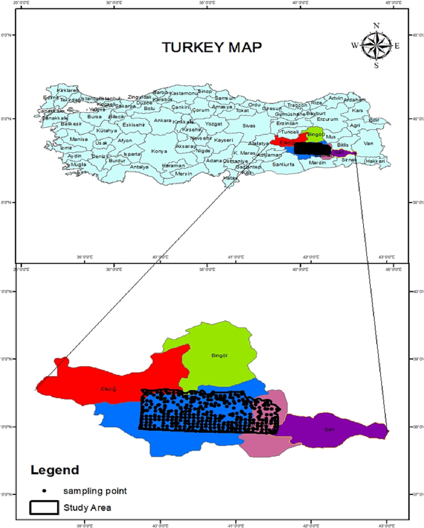 Study area, sampling pattern and sampling points.