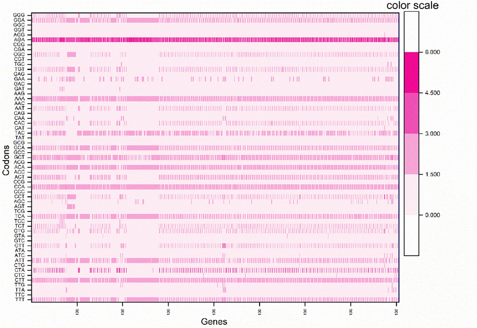 The heat map showing of RSCU values of HBoV codons.