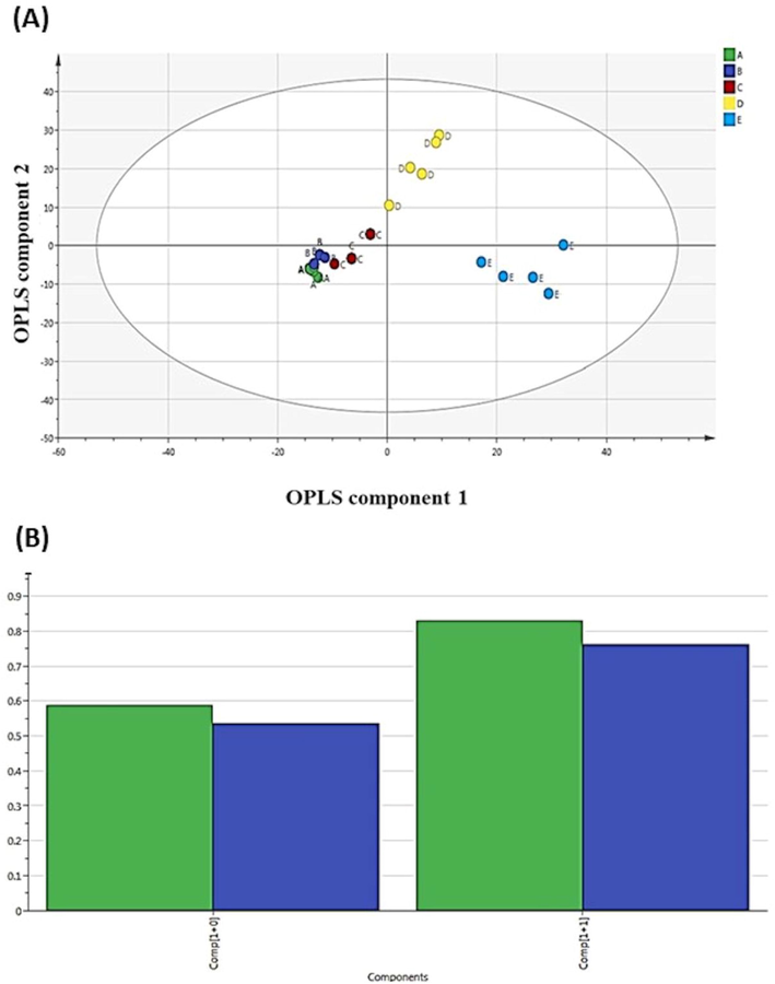 Multivariate analysis based on OPLS model of PB extracts (A, B, C, D and E) obtained using GC–MS. (A) The score plots. (B) The summary of fit.