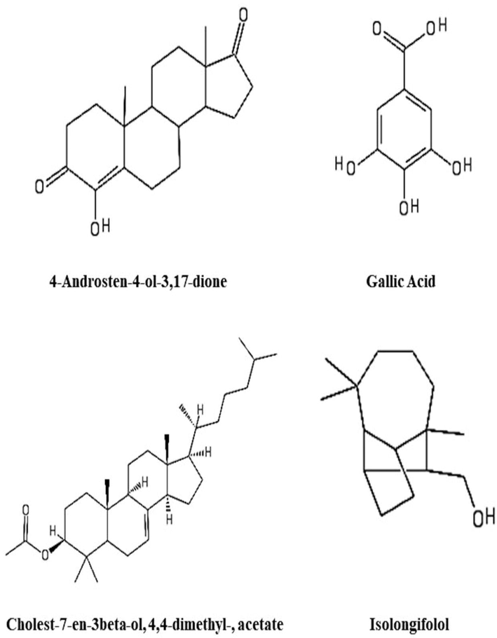 Metabolites identified as potential putative active anticancer agents from PB methanol extract.