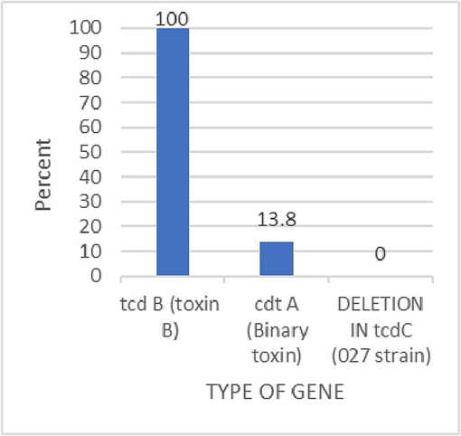 The gene profile of the toxigenic c. difficile were toxin B = 29, binary toxin = 4, and no detection for RT027.