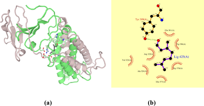 Molecular docking of citronellal to FTO protein (a) 3D structure of interaction of citronellal with FTO protein binding site (b) Residues in contact of protein FTO with citronellal.