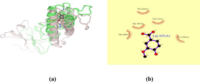 Molecular docking of vanillic acid to FTO protein (a) 3D structure of interaction of vanillic acid with FTO protein binding site (b) Residues in contact of protein FTO with vanillic acid.