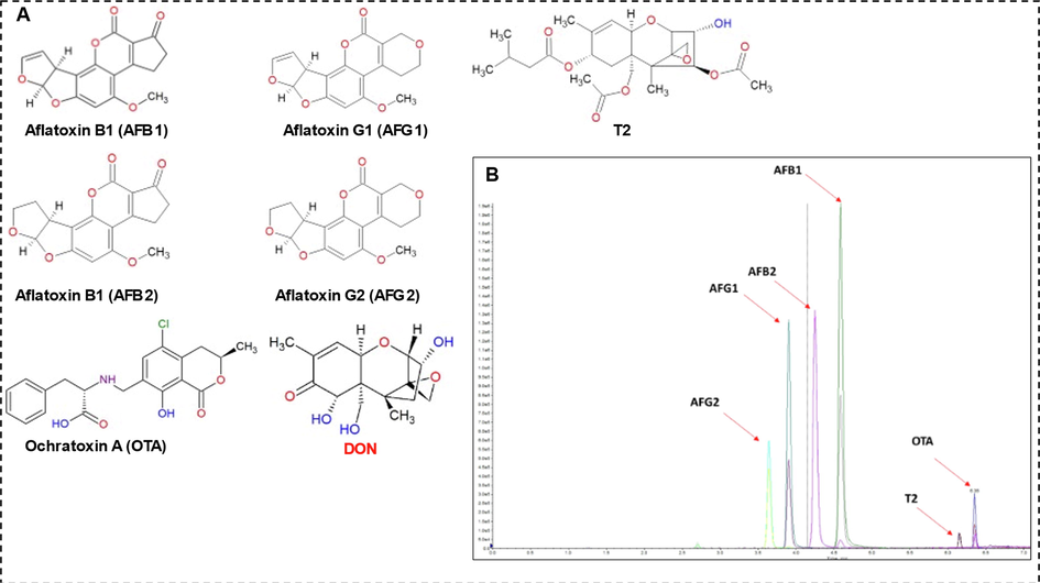 (A) Chemical structures of analyzed mycotoxins (B) U-HPLC-(ESI + )-MS/MS chromatogram of the analyzed mycotoxins standards.