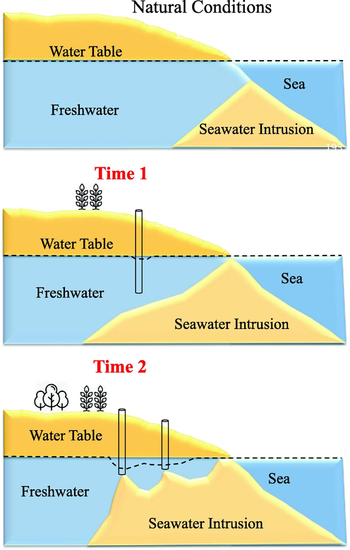 Diagram illustrating the freshwater-seawater interface landward movement through time.