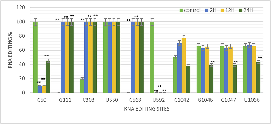 The efficiency of RNA editing for ndhA at indicated positions, as compared with the control, through the sequences identified from the RNA-seq reads. (C or U) nucleotide site. Data has been expressed as Mean ± SD (solid bars) for biological replicates (n = 3) of each sample group. ** indicates significant difference between the compared groups at significance level of p < 0.01.