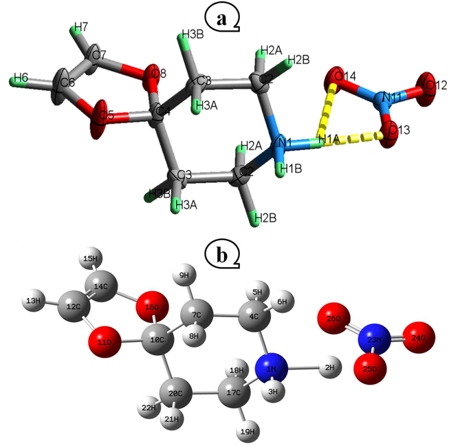 Drawing of the 4-OPEAN using the atom-labeling method in ORTEP. At the 30% probability threshold, displacement ellipsoids are drawn. H atoms are shown as tiny spheres with variable radii (a) and the idealized molecular structure (b).