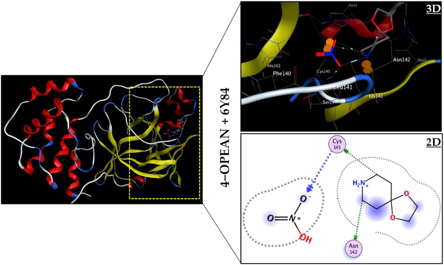 3D best docked poses and 2D interactions of 4-OPEAN compound with the 6Y84 protein.