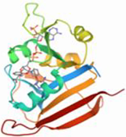 Dihydrofolate reductase (PDB ID: 6E4E).