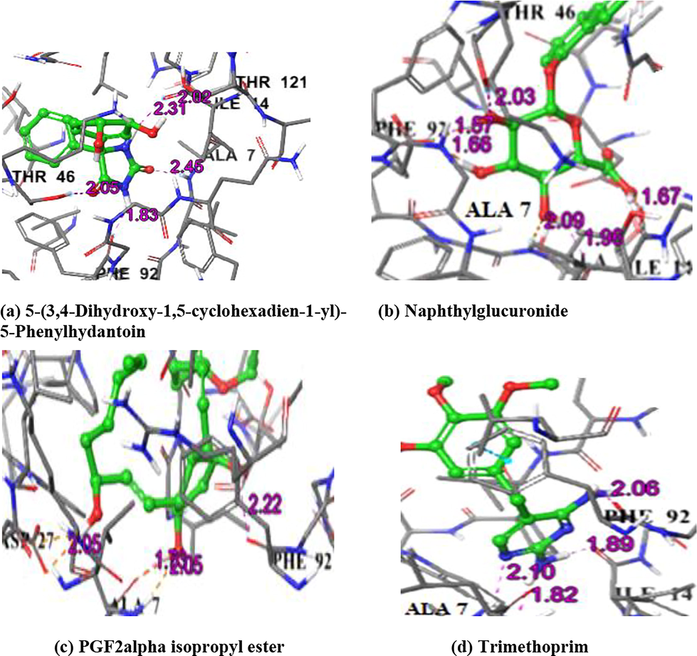 IFD complex structure of Dihydrofolate reductase with compounds and Trimethoprim drug.