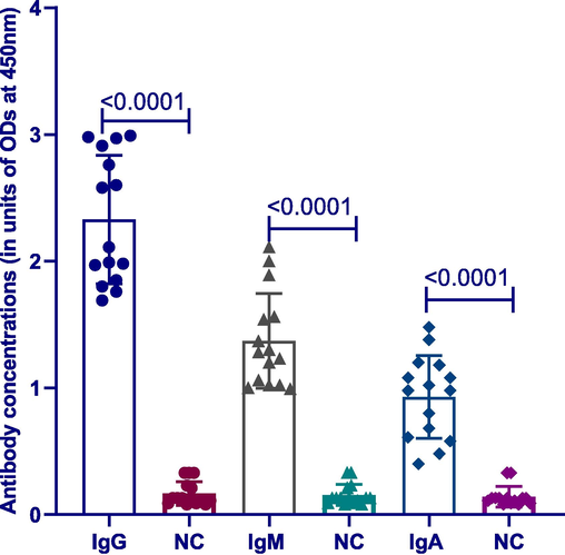 Differences between BCG-induced antibody classes with negative control. Significant differences existed between anti-TB IgG, IgM and IgA antibodies in MNCs stimulated induced by BCG versus unstimulated negative control (NC) (p < 0.0001, n = 20). Lines on the figure represent mean with SD.