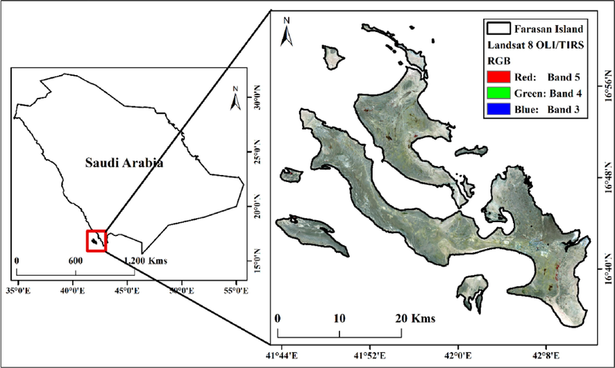 The location of the studied Farasan Islands, which attracts Hipposcarus haread.