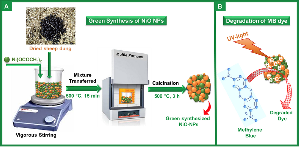 Schematic representation of as synthesized NiO-SD NPs and their photocatalytic activity towards dye degradation.