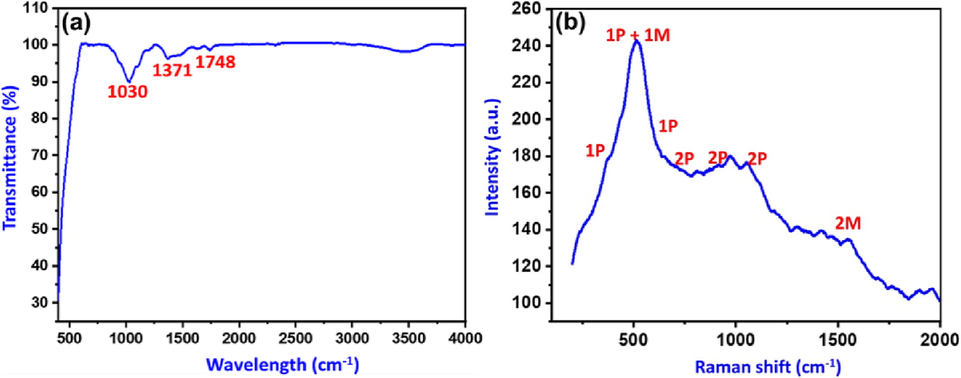 (a)FTIR and (b) Raman spectrum of the as synthesizedNiO-SD NPs.