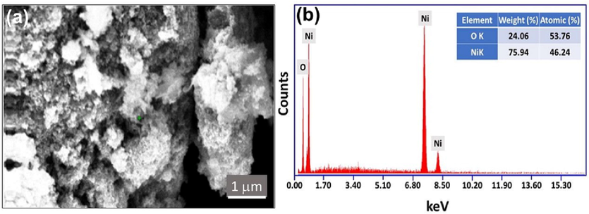 (a) FE-SEM micrographs of the fabricated NiO-SD NPs and (b) EDX spectra of the prepared NiO-SD NPs.