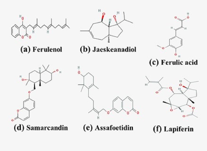 Chemical structures of some compounds from theFerula spp.(a)Ferulenol; (b)Jaeskeanadiol; (c) Ferulic acid; (d) Samarcandin; (e) Assafoetidin; F: Lapiferin().