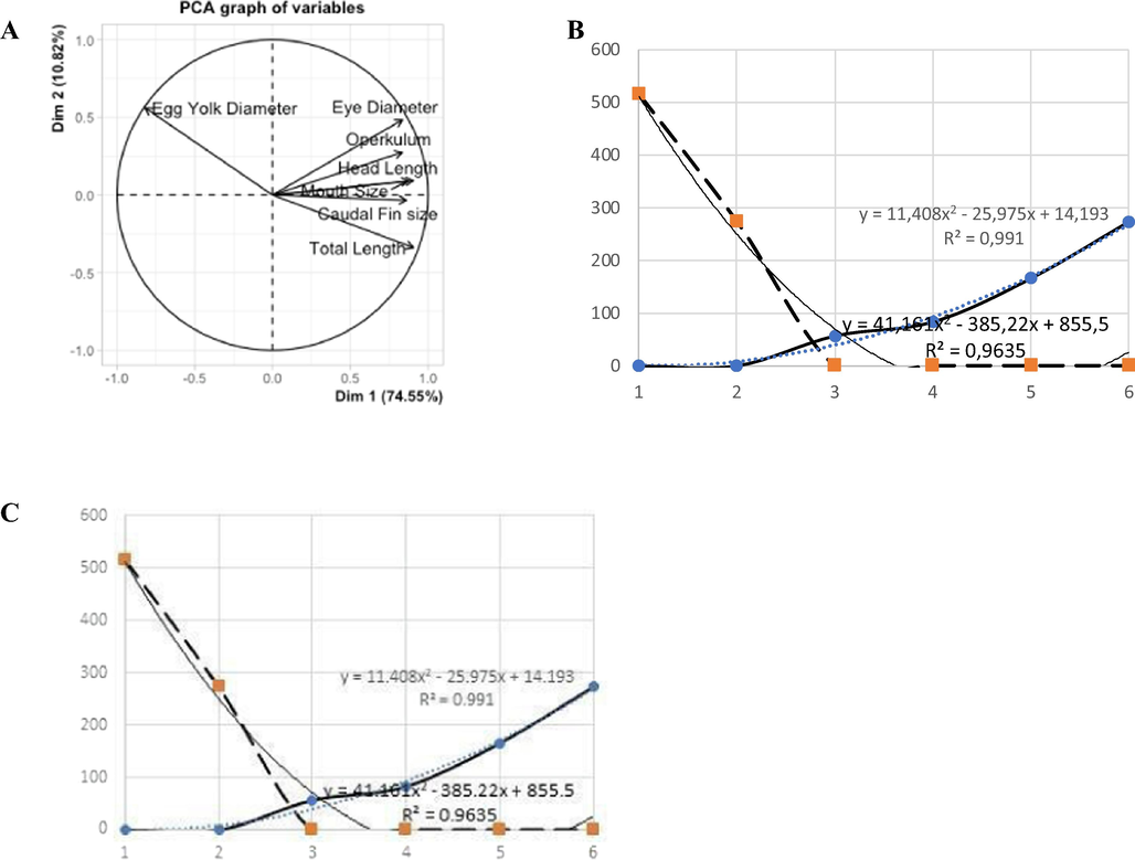 The PCA analysis of the overall rate of growth of (Rasbora lateristriata) (A). Details on mouth development versus egg yolk rate chart (B), and graph of the growth rate of the total length of the larvae (C).