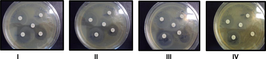 Positive controls: (tetracycline) Upper left; (chloramphenicol) Upper right; (streptomycin) Middle; (gentamycin) Lower left; and (vancomycin) Lower right. Plates I: B. subtilis, II: S. aureus, III: P. aeruginosa, IV: E. coli.