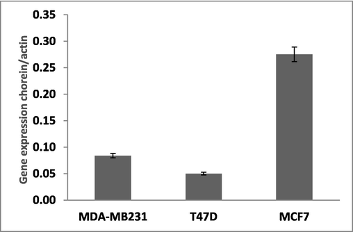 Vsp13A (chorein) gene expression in different breast cancer cell lines: Vsp13A (chorein) gene expression in three different breast cancer cells lines, MDA-MB231, T47D and MCF7 was determined by quantitative real time RT-PCR, with β-actin as the reference gene, using the relative standard curve method.