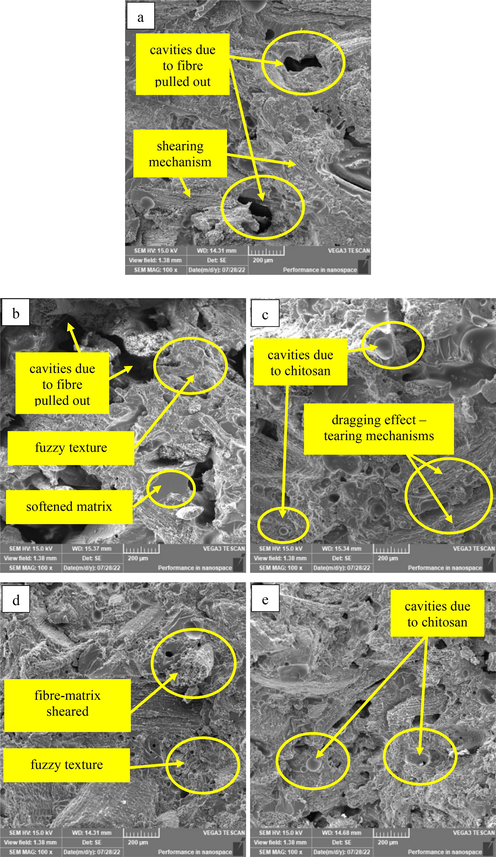 SEM micrograph of tensile fractured surface of DP/CTS bio-epoxy composite: (a) DP, (b) DP/CTS5, (c) DP/CTS10, (d) DP/CTS15, (e) DP/CTS20.