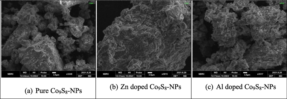 Shows SEM micrograph of pure, Zn and Al doped cobalt sulfide NPs.