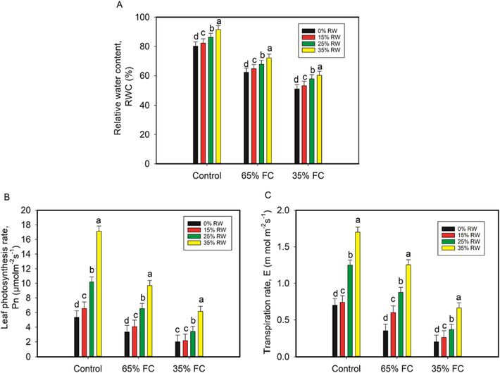 Pretreatment of cowpea seedling leaves with rose water (RW) affects relative water content (A), leaf photosynthetic rate (B), and transpiration rate (C) A p < 0.05 indicates a significant difference between RW with letters that aren't the same as each other in the data, which are the mean from three independent experiments.