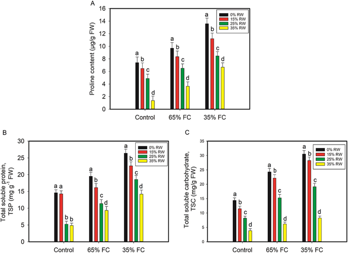 For drought stress, pretreatment with rose water (RW) had an effect on the levels of proline and total soluble protein in the leaves of cowpea seedlings, as well as the levels of total soluble carbohydrate. A p < 0.05 indicates a significant difference between RW with letters that aren't the same as each other in the data, which are the mean from three independent experiments.