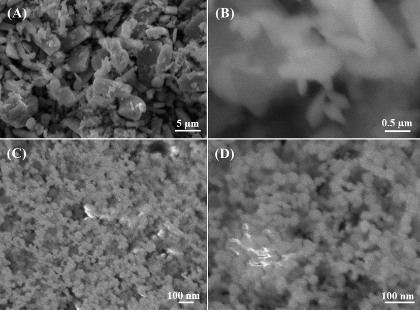 SEM images of α-MoO3: (A captured at 3000x and B at 27,000x) magnification whereas (C captured at 30000x and D at 60,000x) shows the AgNPs size. The estimated size of an individual NR diameter is ∼50 nm and length is ∼1–2 µm whereas individual NP size is ∼15 nm respectively.