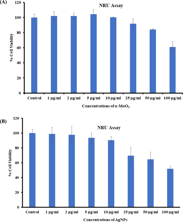 Cytotoxicity study via NRU assay in MCF-7 cells succeeding the exposure of α-MoO3NRs (A) and AgNPs (B) for 24 h. The experiments were conducted in triplicate manner (Mean ± SD triplicate).