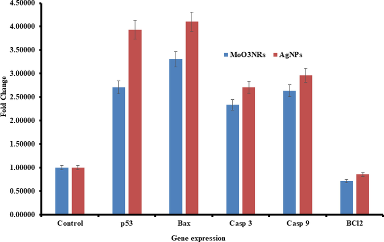 mRNA expression of apoptosis marker genes by RT-PCR analysis in MCF-7 cells with α-MoO3NRs and AgNPs at 50 µg/mL concentration for 24 h. RT-PCR data was achieved with Roche Light Cycler®480 soft-ware (version 1.5). The glyceraldehyde 3-phosphate dehydrogenase (GAPDH) gene was used as a control to normalize data. The data is accessible as the mean ± SD of three identical experiments with three replicates manner. *Significantly different associated with the control group (p < 0.05 for each).