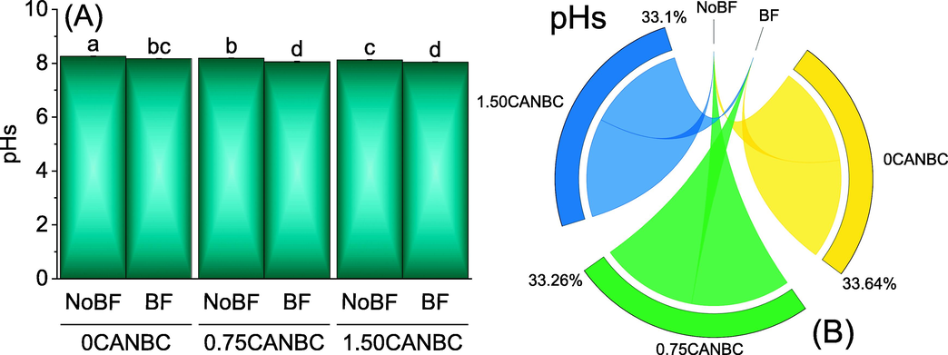 Effect of CANBC different application rates with and without biofertilizer on soil pHs. Bars are average (n = 3) ± SE. Letters on bars are showing significant changes at p ≤ 0.05 compared by Fisher LSD (A). Chord diagram is showing the percentage contribution of each CANBC treatment for soil pHs with and without BF (B). CANBC = biochar coated calcium ammonium nitrate; BF = Biofertilizer.