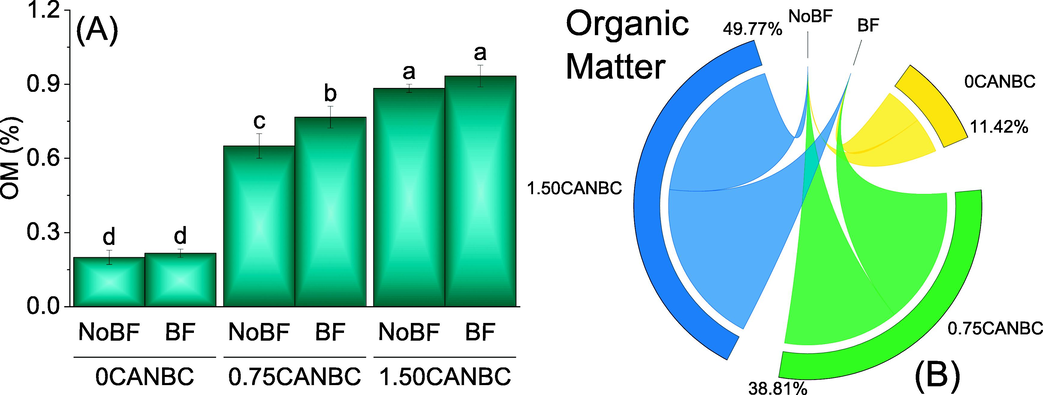 Effect of CANBC different application rates with and without biofertilizer on soil OM. Bars are average (n = 3) ± SE. Letters on bars are showing significant changes at p ≤ 0.05 compared by Fisher LSD (A). Chord diagram is showing the percentage contribution of each CANBC treatment for soil OM with and without BF (B). CANBC = biochar coated calcium ammonium nitrate; BF = Biofertilizer.