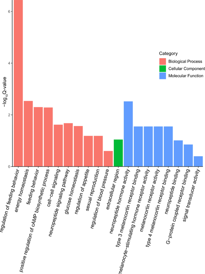 Gene ontology (GO) concepts associated with increased body weight and improved meat quality in sheep. Using GO analysis, these potential genes were put into one of three categories: molecular function, biological process, or cellular component.